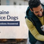 Migraine Service Dogs: Your Questions Answered migraine-service-dogs-1200x600